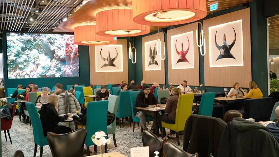 Ресторан «Суши Сан»